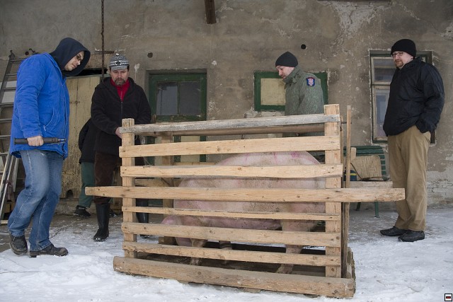 Cunik09  026.jpg